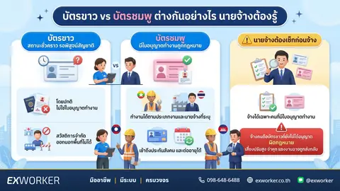 บัตรชมพูคืออะไร ต่างจากบัตรขาวและใบอนุญาตทำงานยังไง